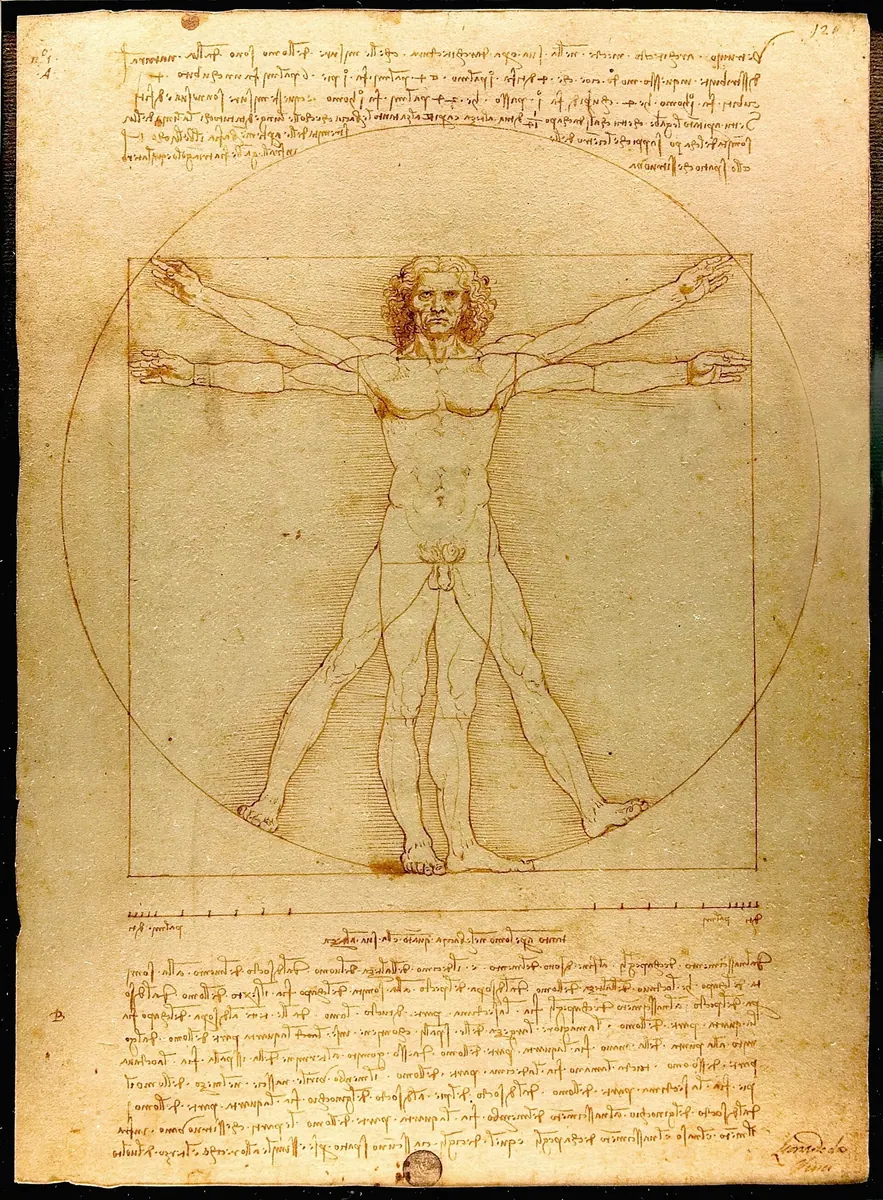 L'Homme de Vitruve, Léonard de Vinci