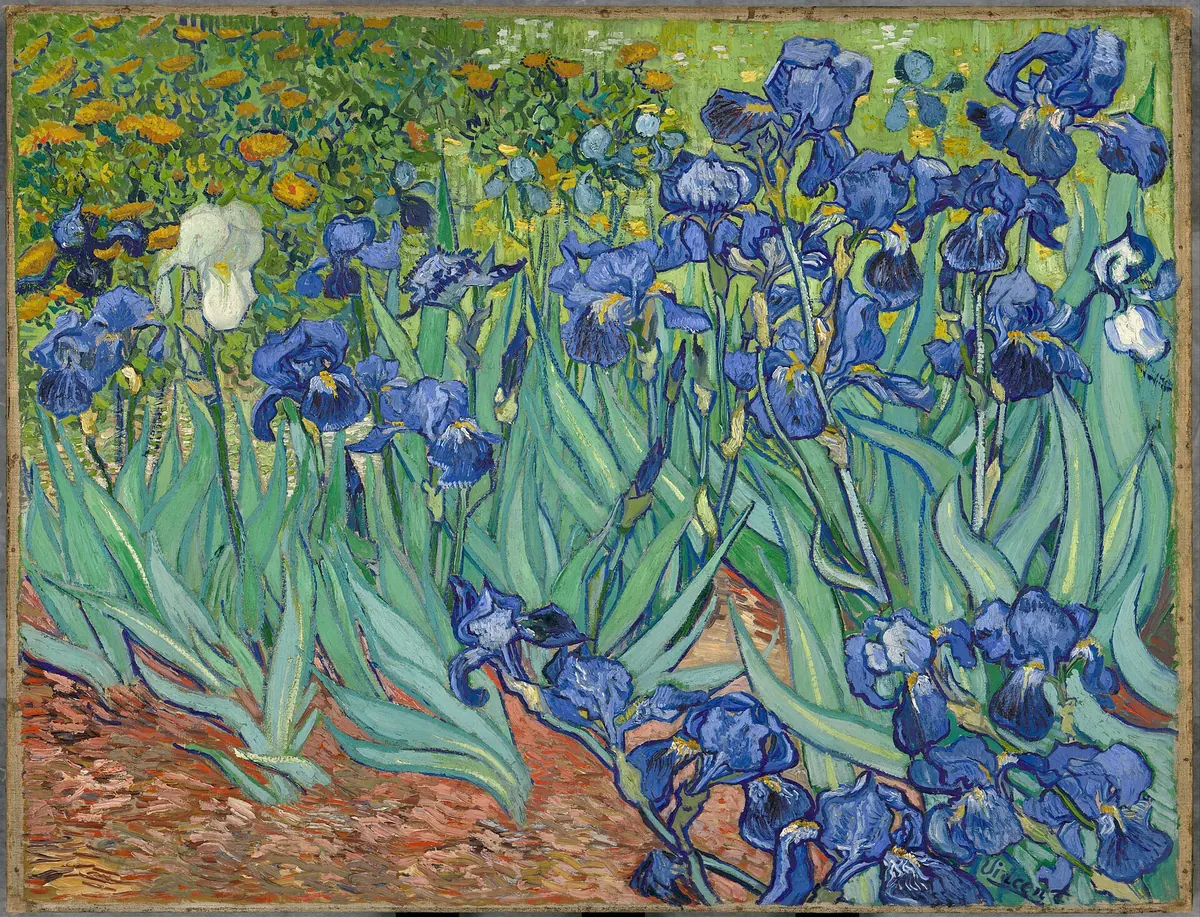 Les Iris